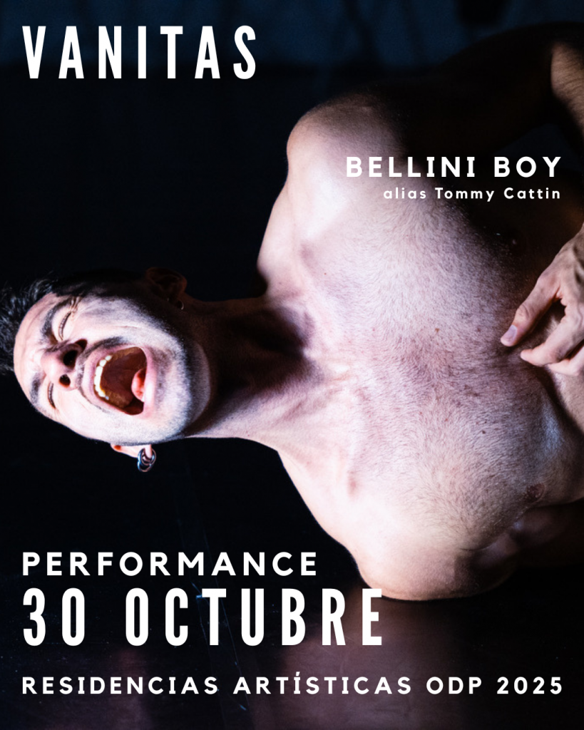 _Vanitas _ Bellini Boy
